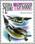 Colnect-3566-026-African-Penguin%C2%A0-%C2%A0Spheniscus-demersus.jpg