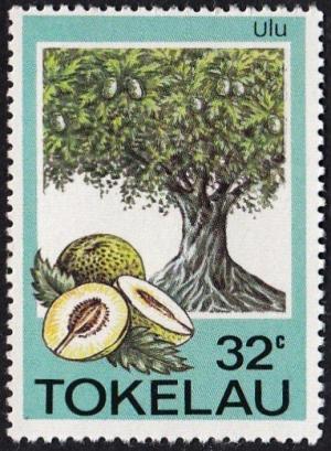 Colnect-1822-961-Breadfruit-Artocarpus-altilis.jpg