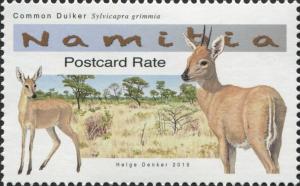 Colnect-3065-036-Common-Duiker-Sylvicapra-grimmia.jpg
