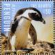 Colnect-3526-275-African-Penguin-nbsp-Spheniscus-demersus.jpg