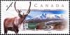 Colnect-588-687-Dempster-Highway-Yukon---Caribou-Rangifer-tarandus.jpg