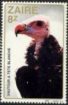 Colnect-1115-025-White-headed-Vulture-Trigonoceps-occipitalis.jpg