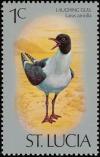 Colnect-1506-960-Laughing-Gull-Leucophaeus-atricilla.jpg