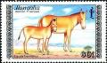 Colnect-1251-680-Mongolian-Khulan-Equus-hemionus-hemionus.jpg