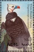 Colnect-1744-750-White-headed-Vulture-Trigonoceps-occipitalis.jpg