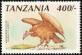 Colnect-1908-755-White-headed-Vulture-Trigonoceps-occipitalis.jpg