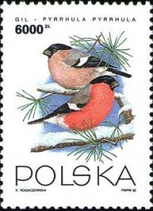 Colnect-3965-695-Eurasian-Bullfinch-Pyrrhula-pyrrhula.jpg