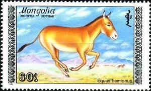 Colnect-1251-681-Mongolian-Khulan-Equus-hemionus-hemionus.jpg
