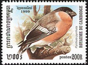Colnect-1527-010-Eurasian-Bullfinch-Pyrrhula-pyrrhula.jpg