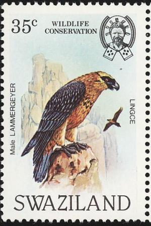Colnect-1661-890-Bearded-Vulture-Gypaetus-barbatus.jpg