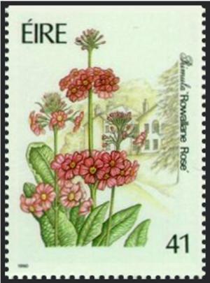 Colnect-1767-778-Primula--Rowallane-Rose-.jpg