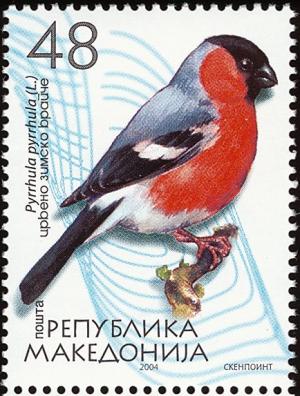 Colnect-2815-558-Eurasian-Bullfinch-Pyrrhula-pyrrhula.jpg