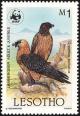 Colnect-1725-547-Bearded-Vulture-Gypaetus-barbatus.jpg