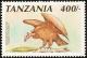 Colnect-1908-755-White-headed-Vulture-Trigonoceps-occipitalis.jpg