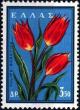 Colnect-3105-748-Wild-Tulips-Tulipa-boeotica.jpg