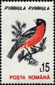 Colnect-4900-196-Eurasian-Bullfinch-Pyrrhula-pyrrhula.jpg