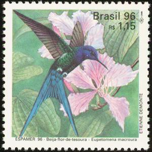 Colnect-2423-460-Swallow-tailed-Hummingbird-Eupetomena-macroura-.jpg