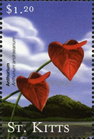 Colnect-3227-243-Anthurium-face-value-in-white.jpg