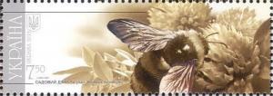 Colnect-5161-233-Garden-bumblebee-Bombus-hortorum.jpg