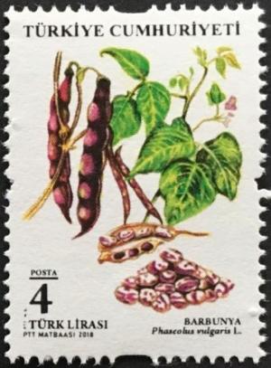 Colnect-5343-206-Legumes--Kidney-Beans.jpg