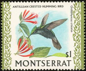 Colnect-843-471-Antillean-Crested-Hummingbird-Orthorhyncus-cristatus.jpg