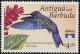 Colnect-1975-827-Blue-headed-Hummingbird-Cyanophaia-bicolor.jpg