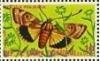 Colnect-1256-984-Large-Yellow-Underwing-Moth-Noctua-pronuba.jpg