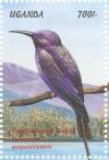 Colnect-1715-803-Purple-breasted-Sunbird-Nectarinia-purpureiventris.jpg