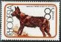 Colnect-1025-744-African-Hunting-Dog-Lycaon-pictus.jpg