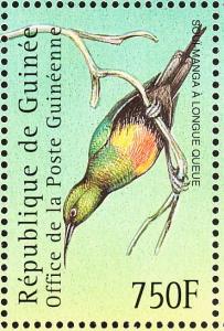Colnect-3804-334-Beautiful-Sunbird-Cinnyris-pulchellus.jpg