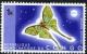 Colnect-1104-896-African-Lunar-Moth-Argema-bouvieri.jpg