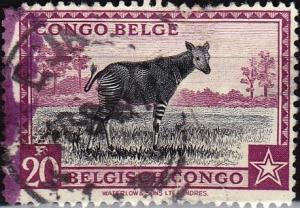 Colnect-2772-490-Okapi---inscribed--quot-Congo-Belge-Belgisch-Congo-quot-.jpg