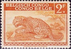 Colnect-981-034-Leopard---inscribed--quot-Belgisch-Congo-Congo-Belge-quot-.jpg