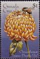 Colnect-3957-070-Chrysanthemum--quot-Primrose-Dorothy-Else-quot-.jpg