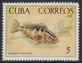 Colnect-1621-931-Nassau-Grouper-Epinephelus-striatus.jpg