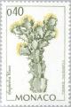 Colnect-149-662-Euphorbia-virosa.jpg