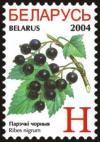 Colnect-1058-283-Black-currants---Ribes-nigrum.jpg