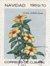 Colnect-1082-304-Turnera-ulmifolia.jpg