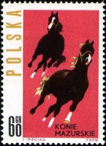 Colnect-3931-407-Horses-from-Mazury-Region-Equus-ferus-caballus.jpg