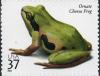 Colnect-202-172-Ornate-Chorus-Frog-Pseudacris-ornata.jpg