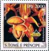 Colnect-5275-160-Suillus-placidus-Bulbophyllum-wendlandianum.jpg