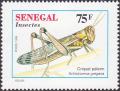 Colnect-2697-681-Desert-Locust-Schistocerca-gregaria.jpg