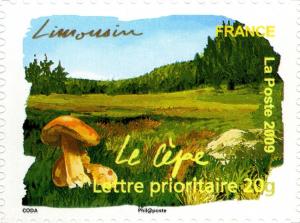 Colnect-1117-675-Limousin---Cepe-Mushroom.jpg