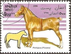 Colnect-2151-801-Horse-Equus-ferus-caballus-Pliohippus-Pliocene.jpg