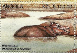 Colnect-2221-027-Hippopotamus-Hippopotamus-amphibius.jpg
