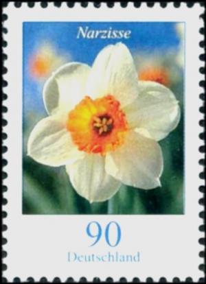 Colnect-4294-709-Narcissus-poeticus---Narcissus.jpg