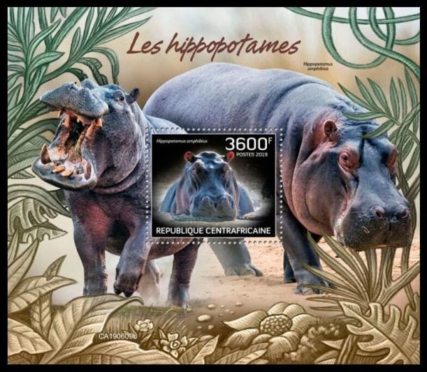 Colnect-6109-820-Hippopotamus-Hippopotamus-amphibius.jpg
