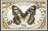 Colnect-2144-577-Malachite-Butterfly-Siproeta-stelenes.jpg