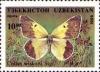 Colnect-783-967-Pieridae-Butterfly-Colias-wiskotti.jpg