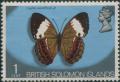 Colnect-3960-305-Rustic-Butterfly-Cupha-woodfordi.jpg